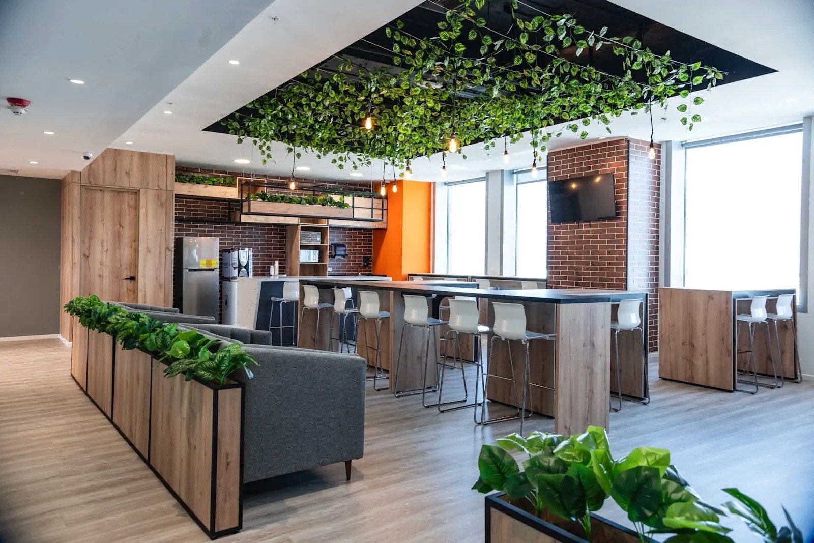 Área común de Tinkko Co-Working con plantas colgantes y mesas altas